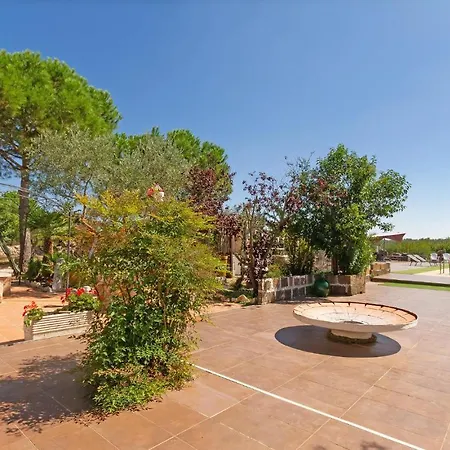 Pet Friendly In Acquaviva delle Fonti
